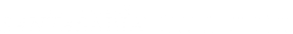 logo pag ss